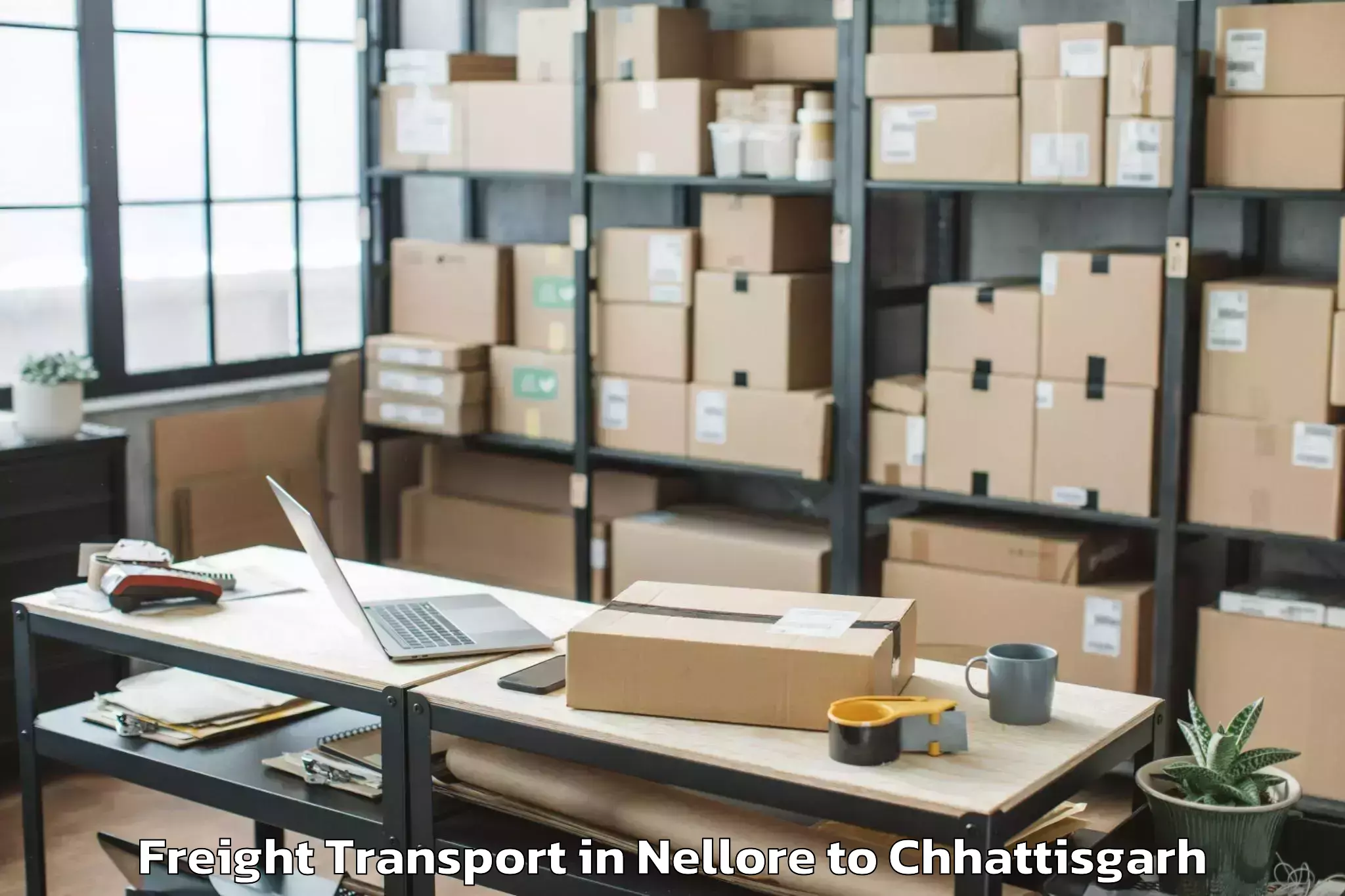 Book Nellore to Iit Bhilai Freight Transport